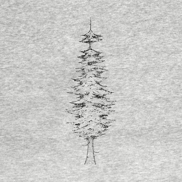 Fir tree by bridgetrolljess